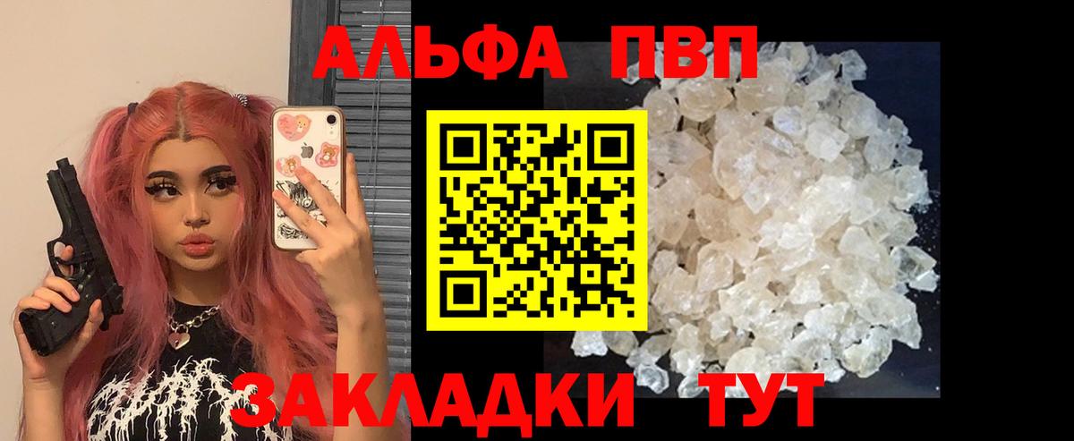 Альфа ПВП СК Нововоронеж