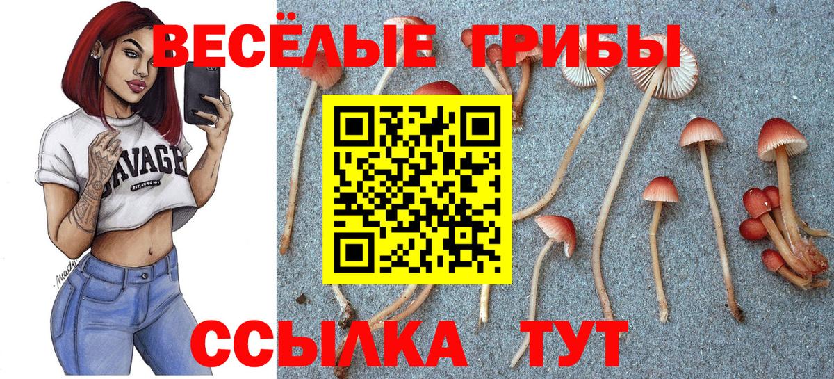 Псилоцибиновые грибы прущие грибы  Галлюциногенные грибы GOLDEN TEACHER  Вход с VPN  Нововоронеж 